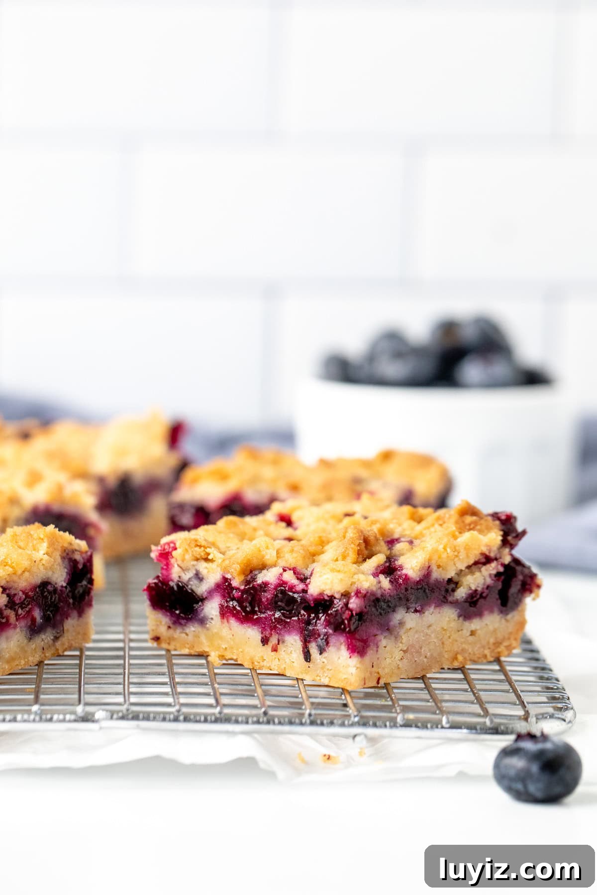 Blueberry Crumble Bars Recipe — Homemade Fruit Dessert Bars 4 Blueberry crumble bars on a cooling rack with bowl of blueberries
