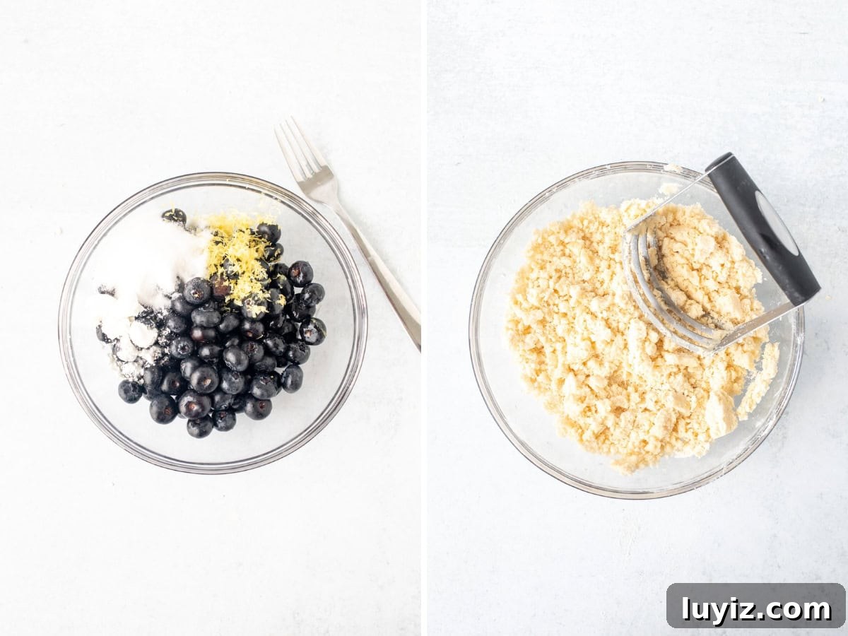 Blueberry Crumble Bars Recipe — Homemade Fruit Dessert Bars 5 img 2038 4