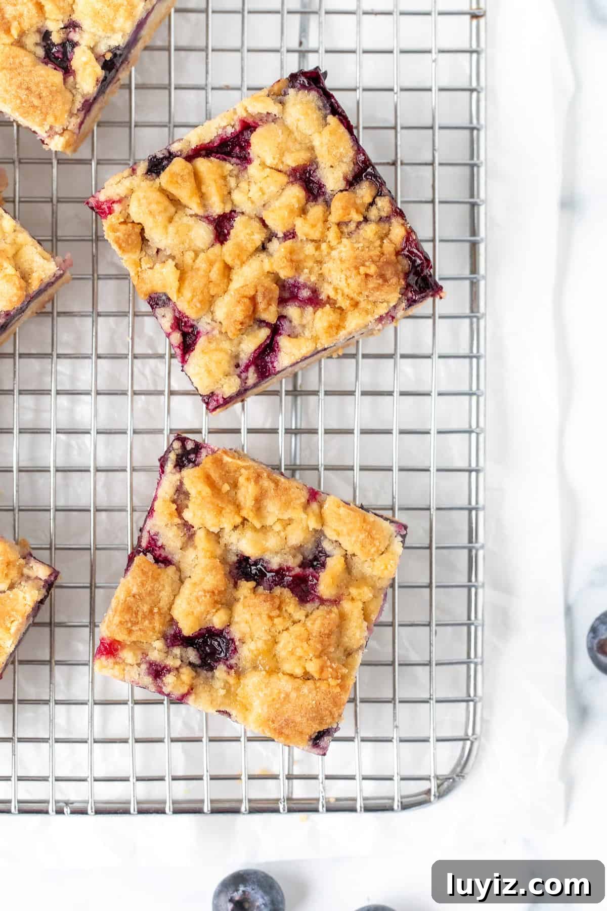 Blueberry Crumble Bars Recipe — Homemade Fruit Dessert Bars 8 Blueberry crumb bars on a cooling rack