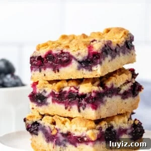 Blueberry Crumble Bars Recipe — Homemade Fruit Dessert Bars 9 Stack of three blueberry crumble bars