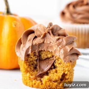 Nutella-Stuffed Pumpkin Cupcakes with Cream Cheese Frosting 6 Pumpkin cupcake stuffed with Nutella and topped with Nutella frosting with a bite taken out