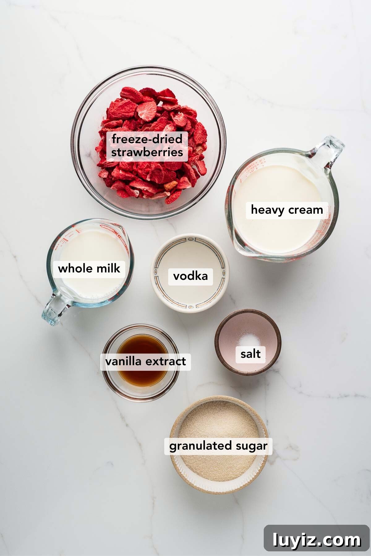 Creamy Homemade Strawberry Ice Cream Recipe You’ll Love 4 Ingredients in various size plates and bowls labeled as freeze-dried strawberries, heavy cream, whole milk, vodka, vanilla extract, salt, and granulated sugar on a white marbled background.