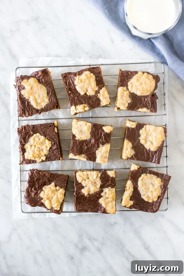 Chewy Oatmeal Fudge Bars with Chocolate Swirls 3 Oatmeal fudgy bars on a cooling rack, from above.