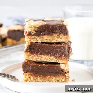 Stack of 3 oatmeal fudge bars on a plate with a glass of milk.