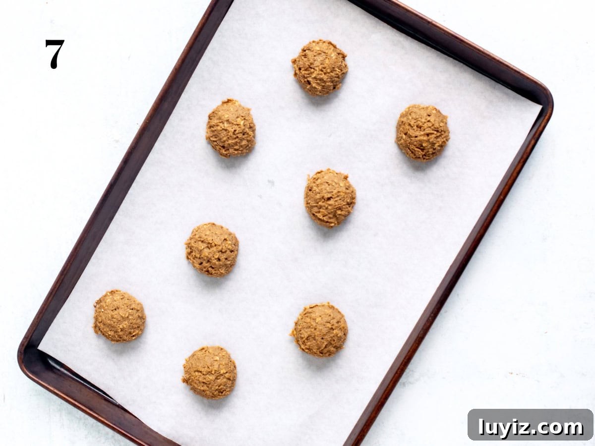 Gingerbread Oatmeal Cream Pies Recipe — Soft Spiced Sandwich Cookies 6 img 20921 5