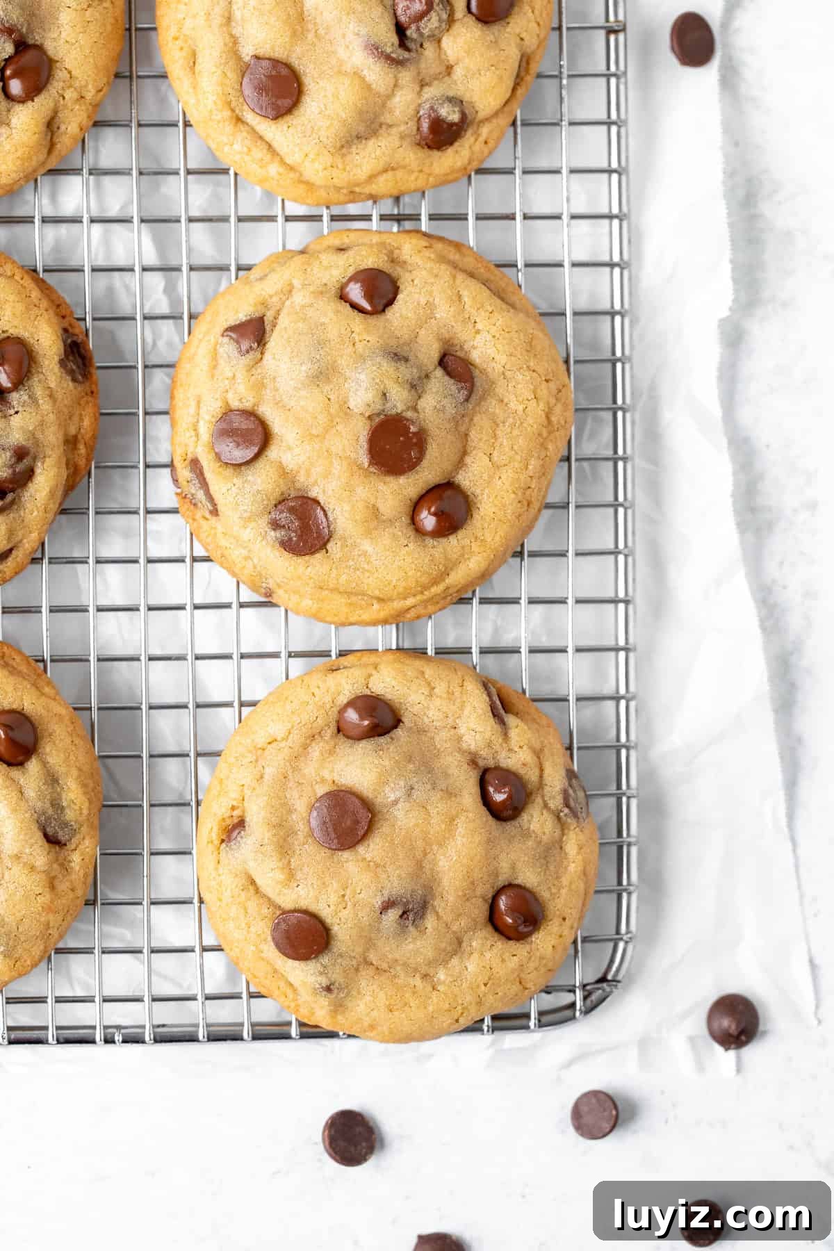 Cheesecake-Stuffed Chocolate Chip Cookies — Decadent Dessert Recipe 7 chocolate chip cookies on a cooling rack
