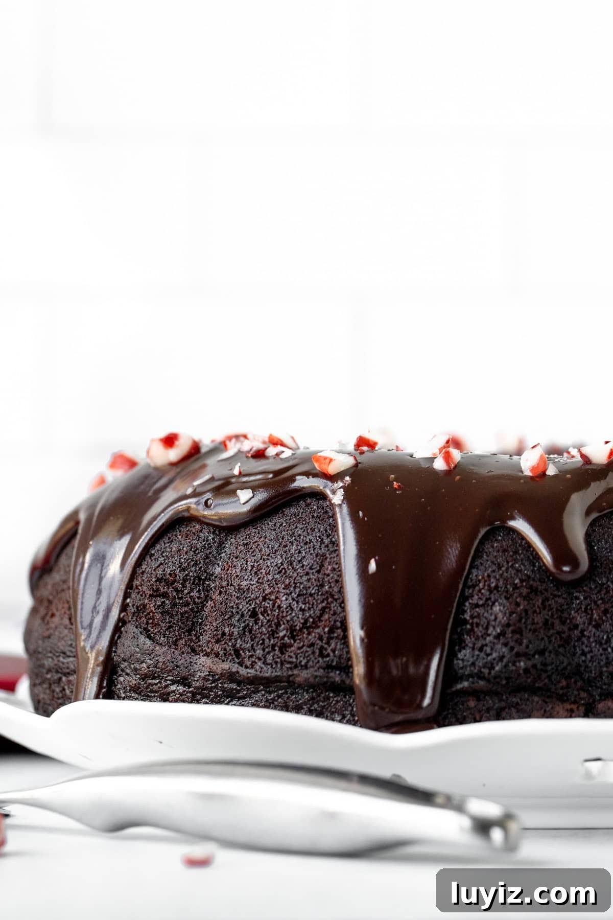 Peppermint Chocolate Bundt Cake Recipe with Frosted Cocoa Glaze 3 Candy cane chocolate bundt cake, topped with chocolate ganache and crushed candy canes