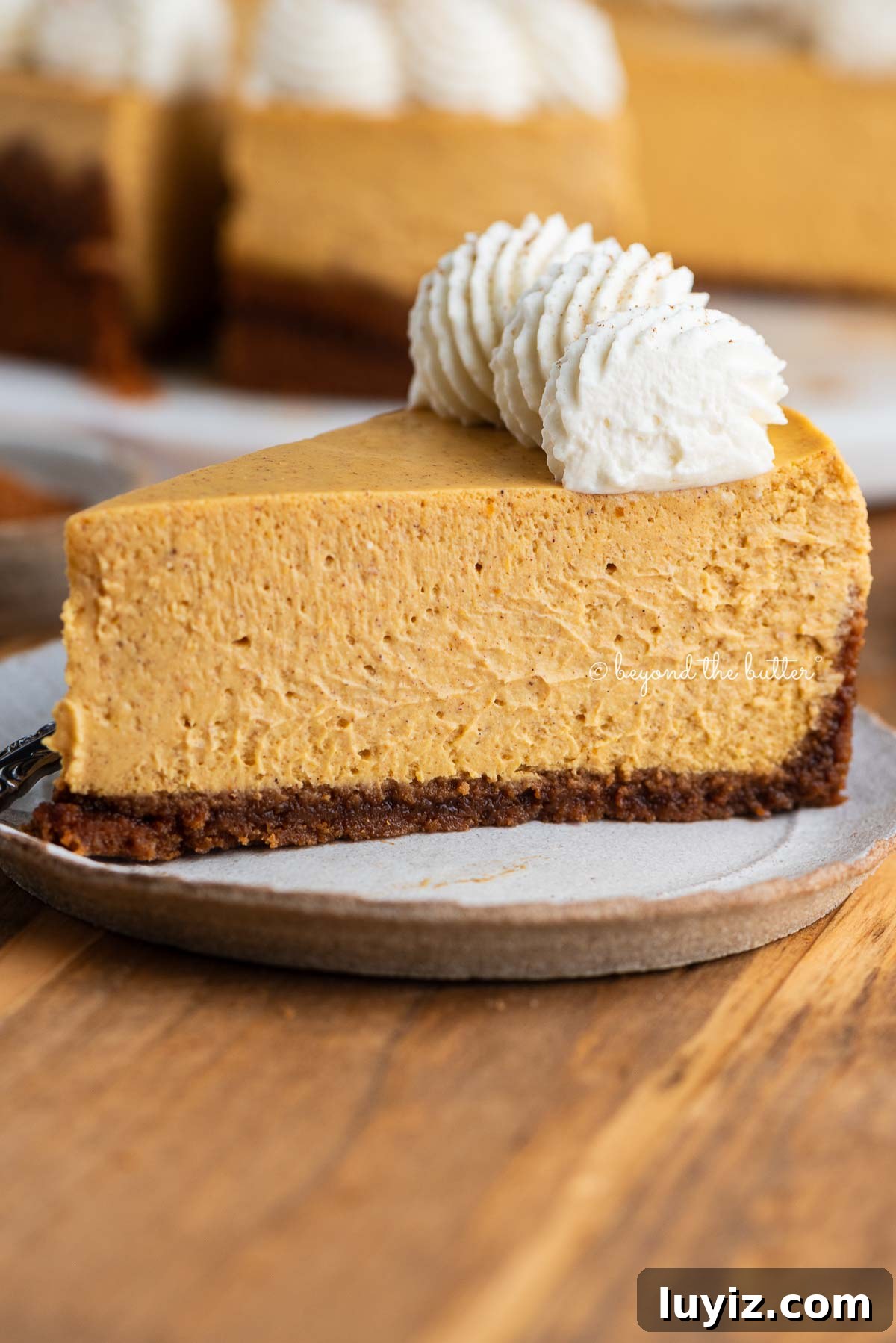 Creamy Pumpkin Cheesecake Recipe for Fall Desserts 20 Slice of pumpkin cheesecake on a ceramic dessert plate and wood background.