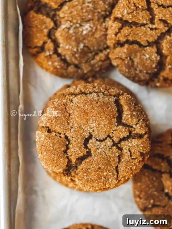 Creamy Pumpkin Cheesecake Recipe for Fall Desserts 22 Overhead image of soft molasses sugar cookies on a parchment paper lined baking sheet.