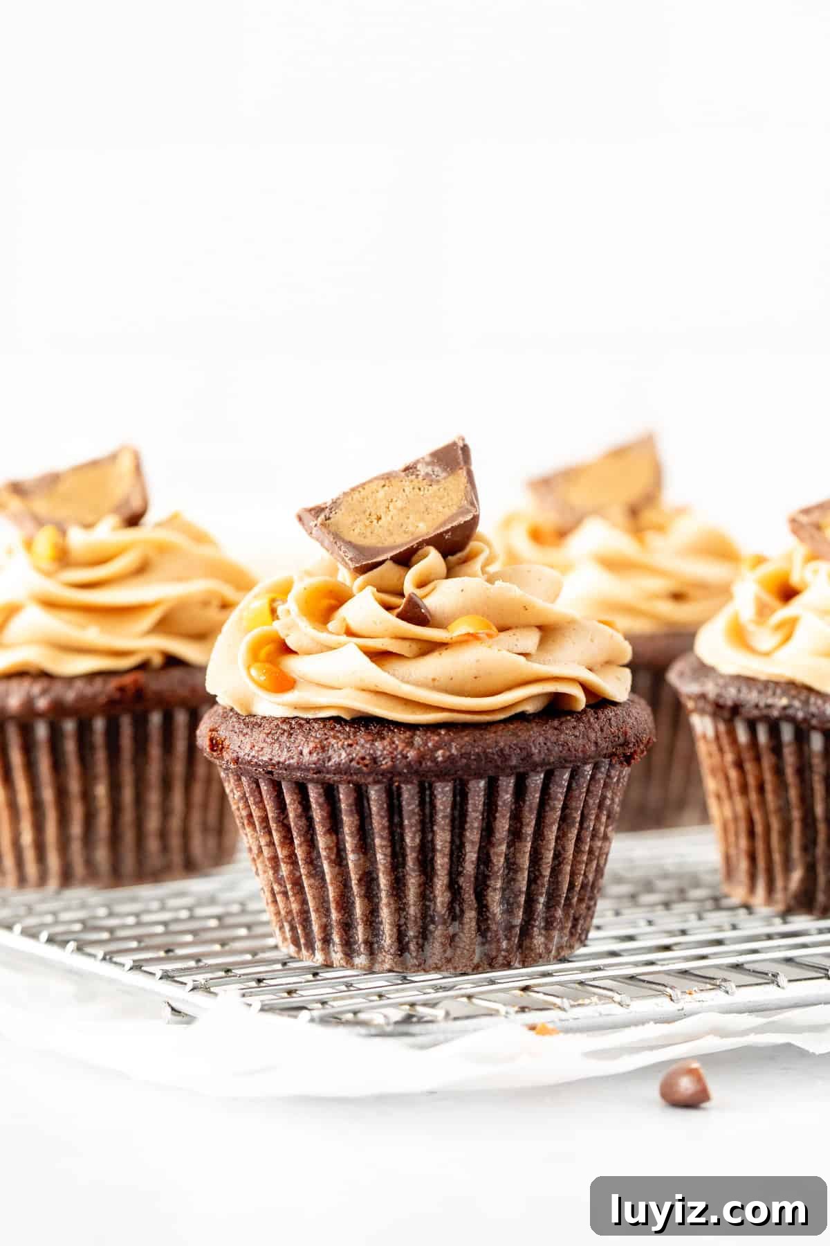 Chocolate Cupcakes with Creamy Peanut Butter Frosting 4 img 2113 3