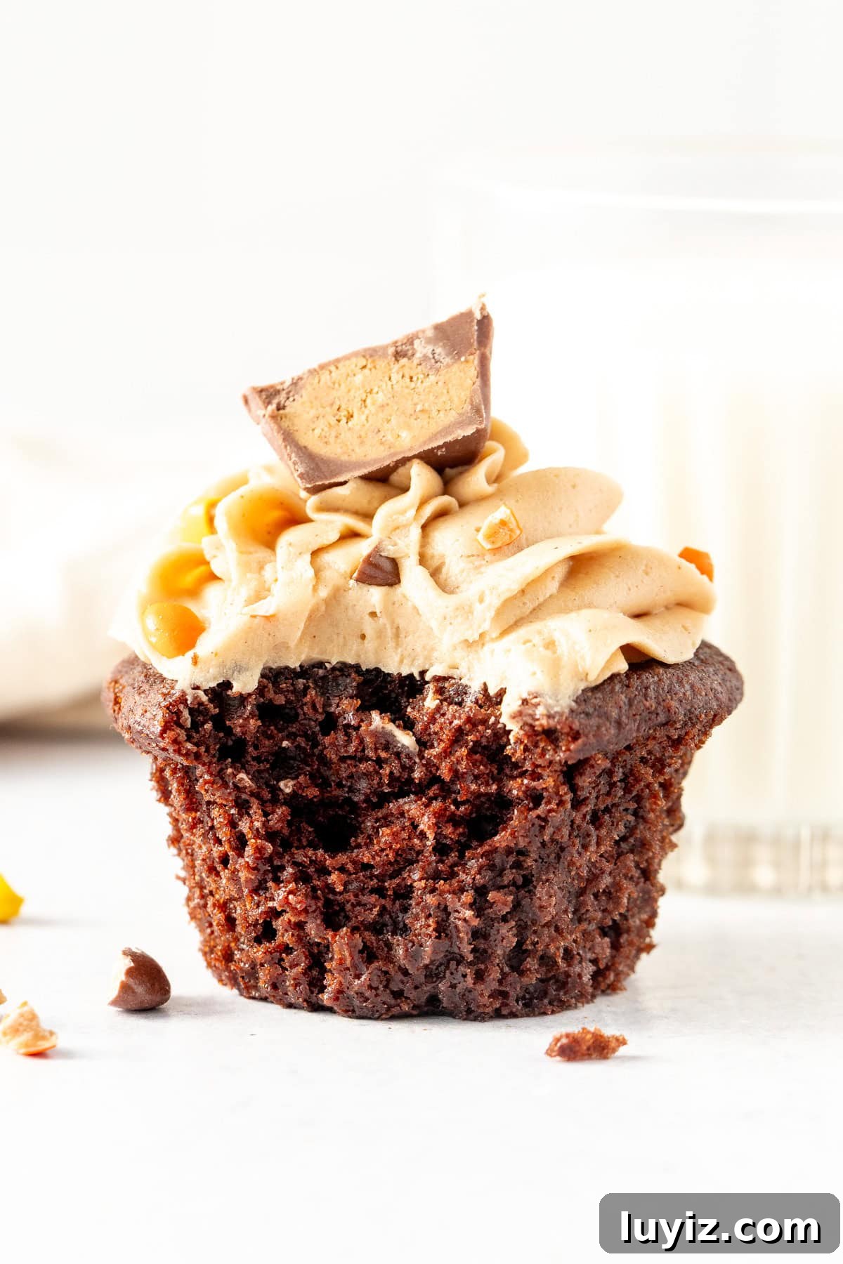 Chocolate Cupcakes with Creamy Peanut Butter Frosting 6 chocolate peanut butter cupcake with a bite taken out