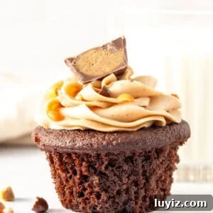 Chocolate Cupcakes with Creamy Peanut Butter Frosting 7 chocolate peanut butter cupcake with a glass of milk