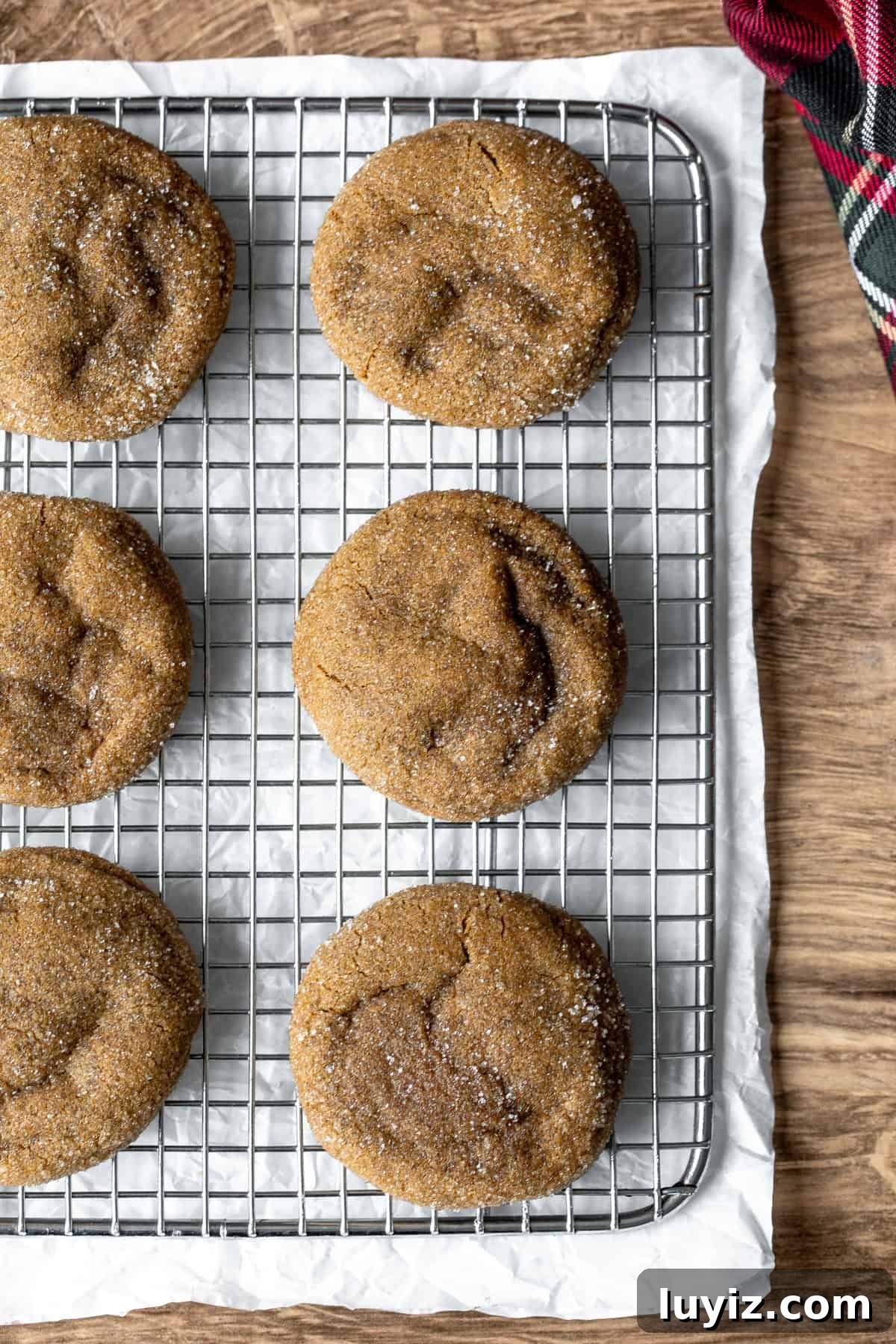 Gingerbread Cheesecake Cookie Recipe: Soft, Spiced Bites 3 Gingerbread cheesecake cookies, rolled in sugar on cooling rack