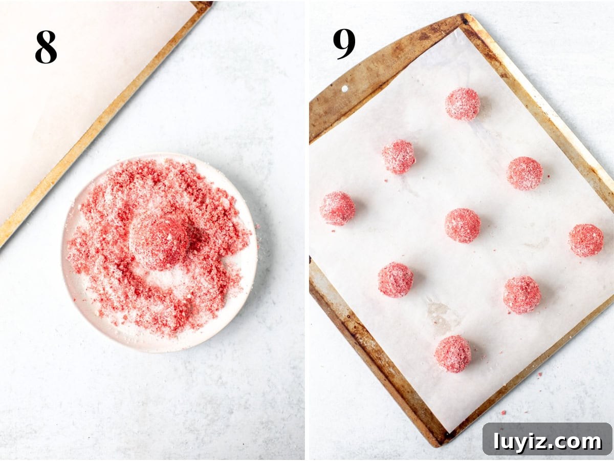 Strawberry Sugar Cookie Recipe — Soft, Juicy Berry Cookies 8 Strawberry sugar cookie dough balls rolled in strawberry sugar and strawberry sugar cookie dough balls on lined cookie sheet.