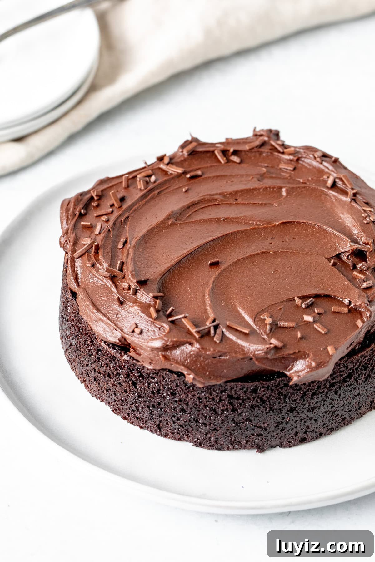 Mini Chocolate Cake Recipe: Moist Single-Layer Dessert For Two 2 Mini chocolate cake topped with chocolate frosting and chocolate sprinkles
