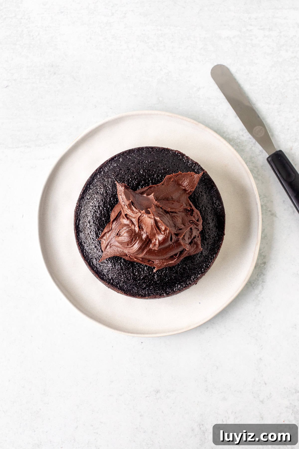 Mini Chocolate Cake Recipe: Moist Single-Layer Dessert For Two 6 Small round chocolate cake with dollop of chocolate frosting on top