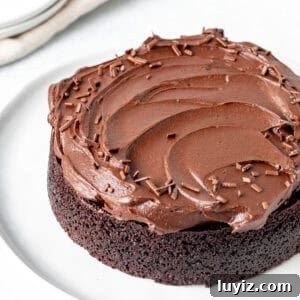 Mini Chocolate Cake Recipe: Moist Single-Layer Dessert For Two 8 Mini chocolate cake with fluffy chocolate frosting
