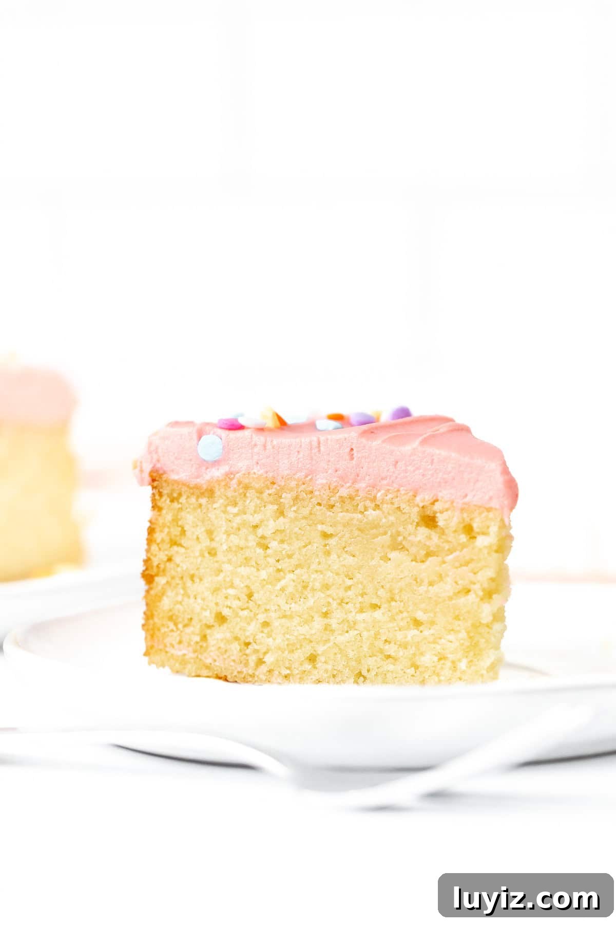 Mini Vanilla Cake Recipe: Moist Single-Layer Sponge Tutorial 3 Slice of mini vanilla cake topped with vanilla frosting