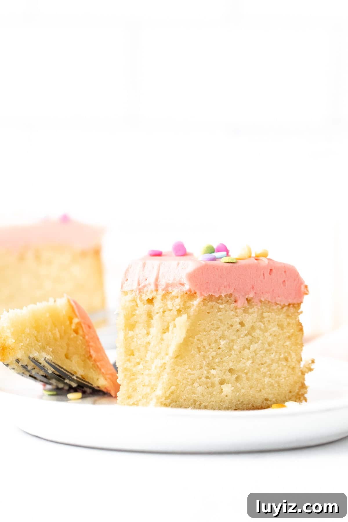 Mini Vanilla Cake Recipe: Moist Single-Layer Sponge Tutorial 8 Slice of a small single layer 6-inch round cake topped with vanilla frosting