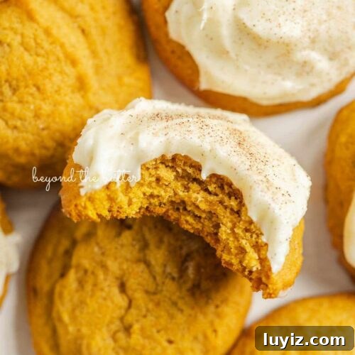 Pumpkin cinnamon cookies