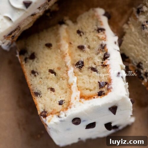 Slice of 2 layer chocolate chip cake on it's side on a brown paper background.