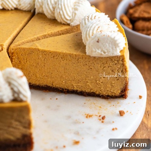 Sliced pumpkin cheesecake topped with piped whipped cream on a white marbled cake plate on a dark wood background.