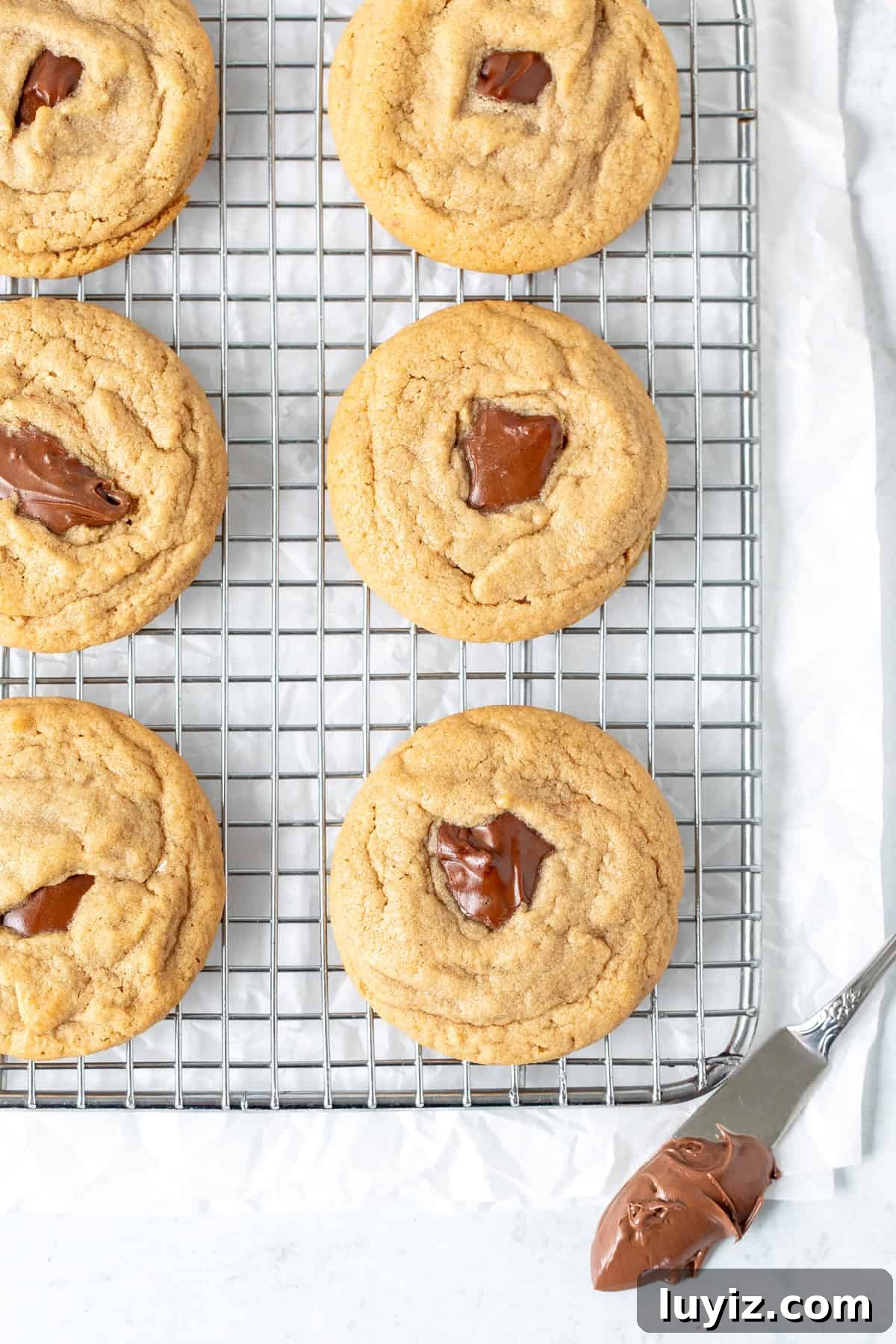 Peanut Butter and Nutella Cookie Recipe: Gooey Chocolate Swirl Cookies 5 Peanut butter Nutella cookies on a wire cooling rack