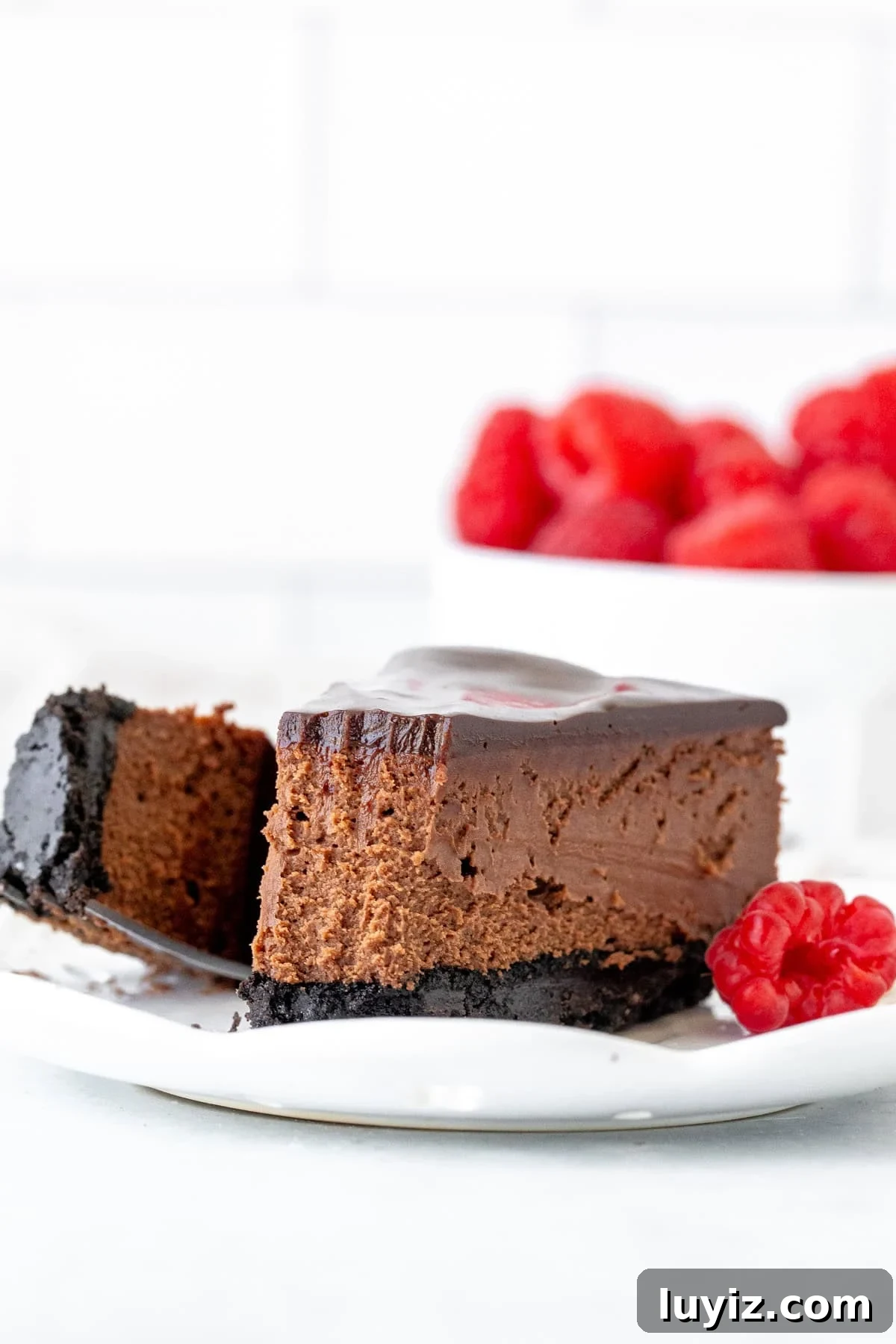 Mini Chocolate Cheesecake Recipe for Two: Rich, Creamy & Decadent 7 img 21519 8