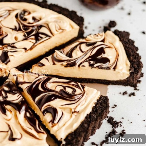 Round chocolate peanut butter tart swirled with chocolate syrup and cut into slices.