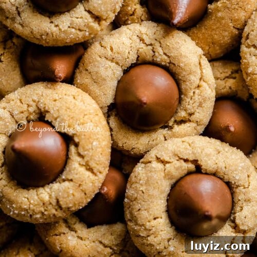 Overhead closeup image of peanut butter blossoms.