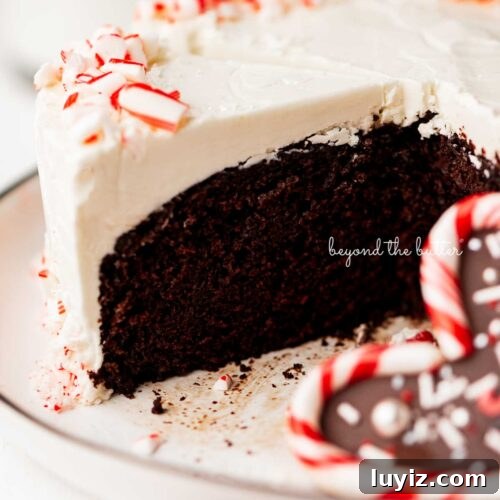 Single layer peppermint chocolate cake sliced with candy cane heart placed on the dessert plate.