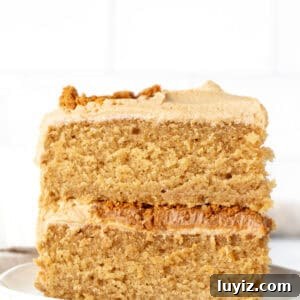 Decadent Biscoff Layer Cake Recipe 9 Slice of Biscoff cookie butter cake