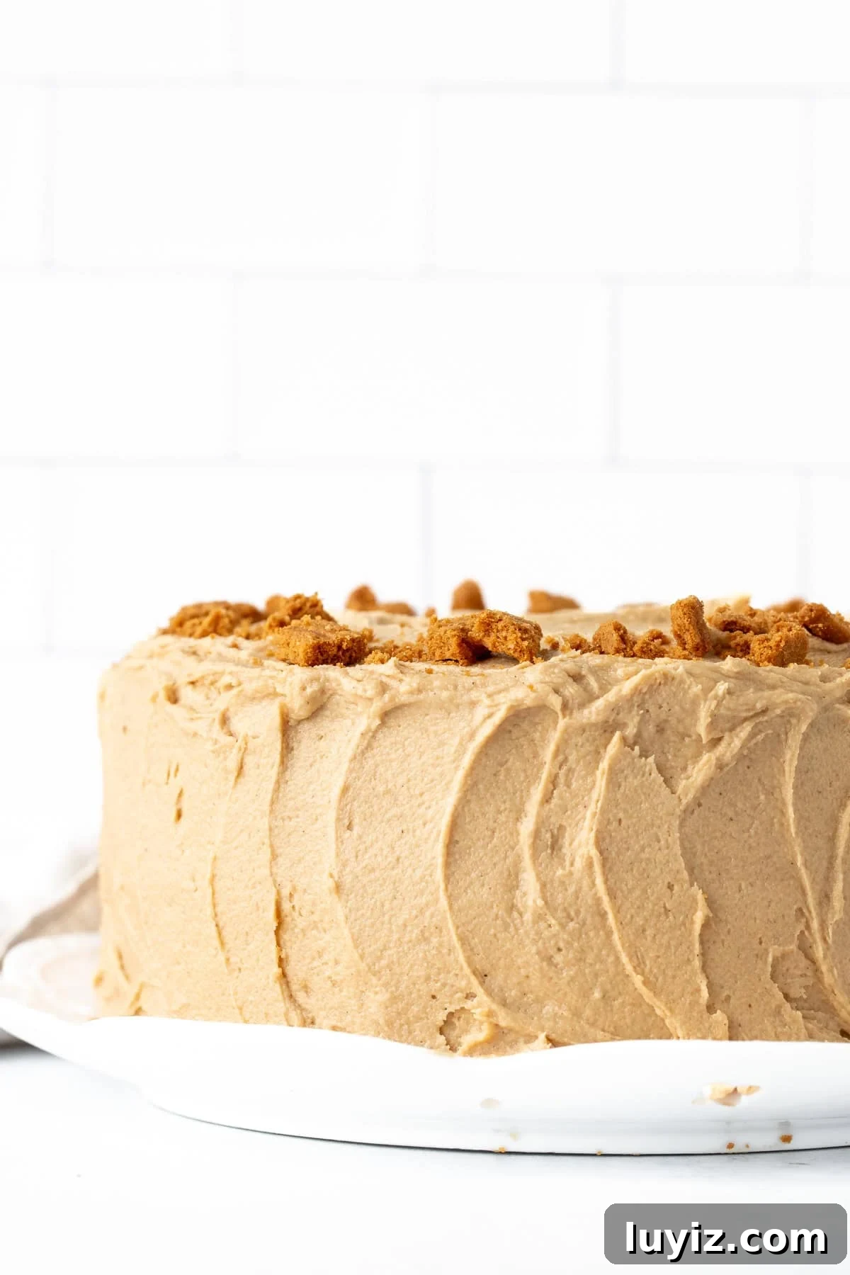 Decadent Biscoff Layer Cake Recipe 7 Decorated Biscoff cake