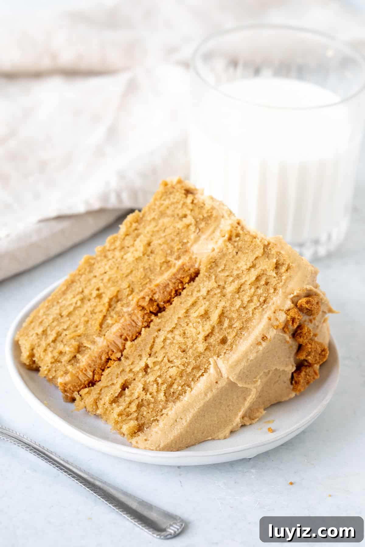 Decadent Biscoff Layer Cake Recipe 8 Slice of cookie butter cake with cookie butter frosting