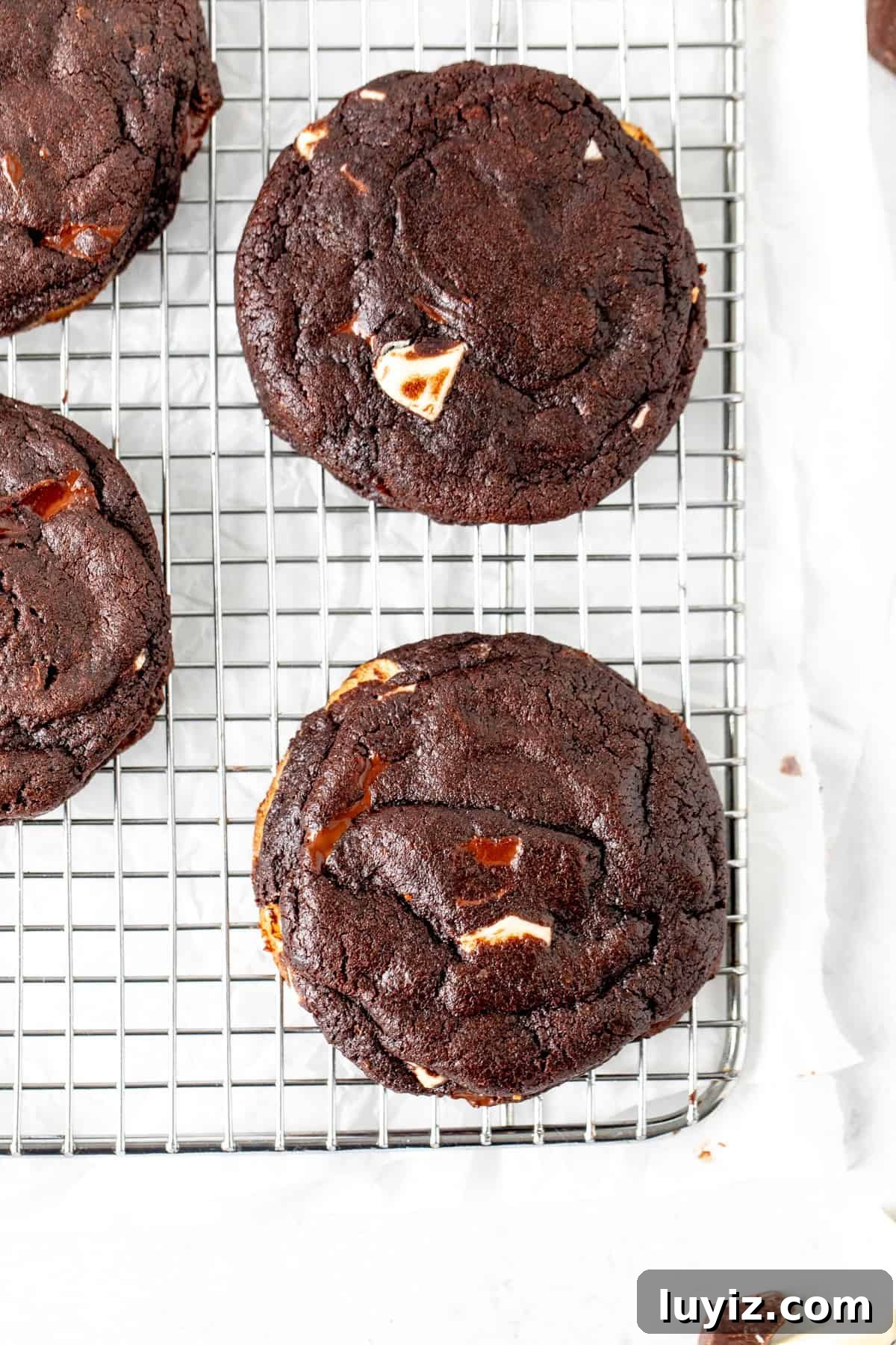 Ultimate Triple Chocolate Chip Cookies Recipe for Chocolate Lovers 7 Triple chocolate chunk cookies on cooling rack