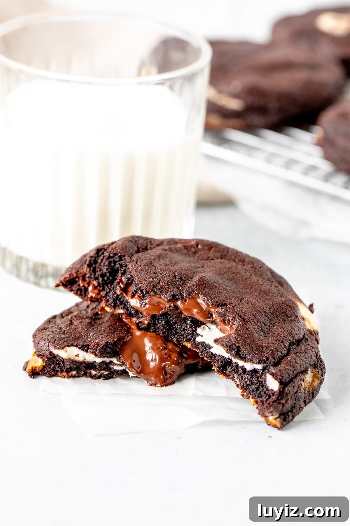 Ultimate Triple Chocolate Chip Cookies Recipe for Chocolate Lovers 8 img 21717 7