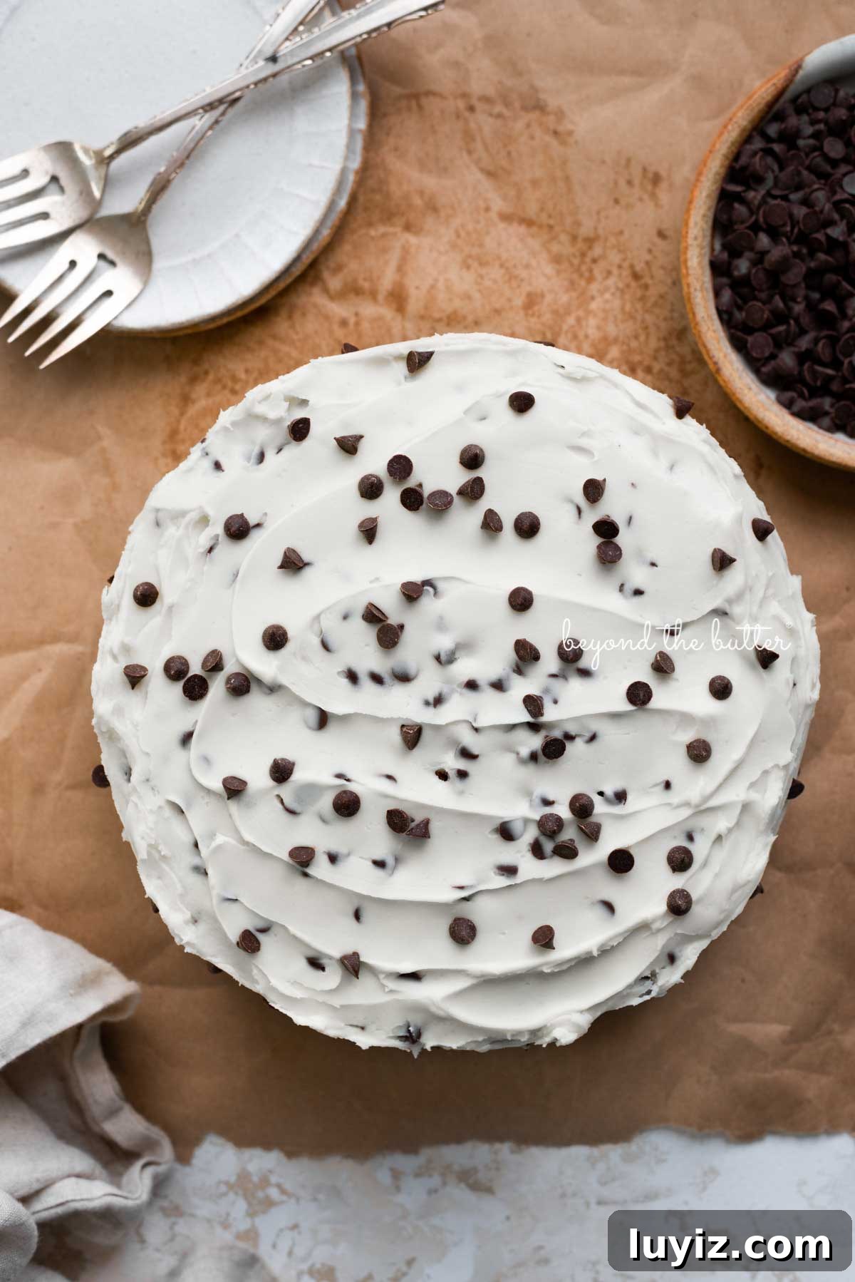 Decadent Chocolate Chip Cake Recipe for Moist, Gooey Slices 3 Chocolate chip cake frosted with chocolate chip buttercream frosting with dessert plates, forks, a bowl of chocolate chips, and a napkin on a brown paper background | © Beyond the Butter®