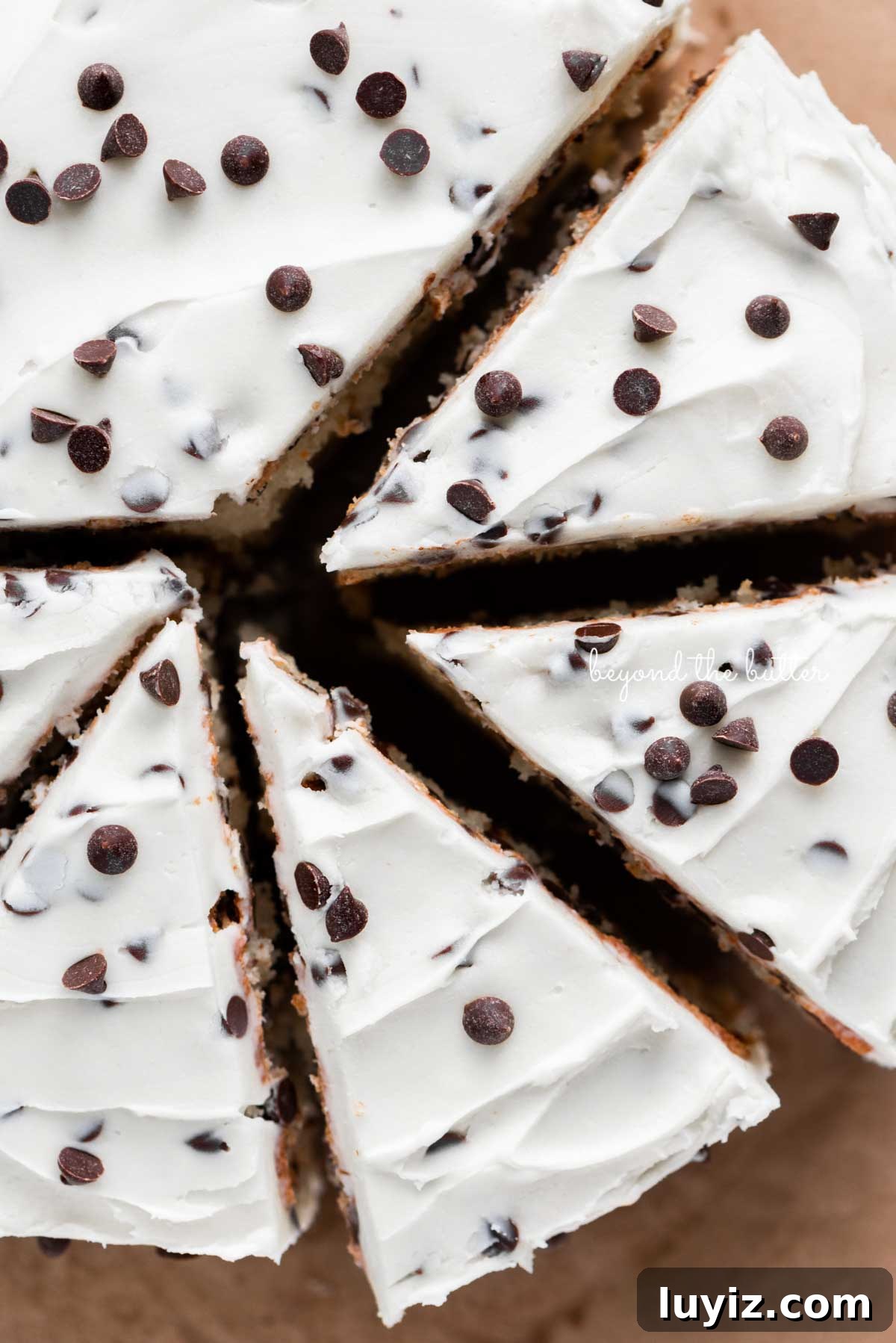 Decadent Chocolate Chip Cake Recipe for Moist, Gooey Slices 4 Slices 2 layer chocolate chip cake on a brown paper background | © Beyond the Butter®