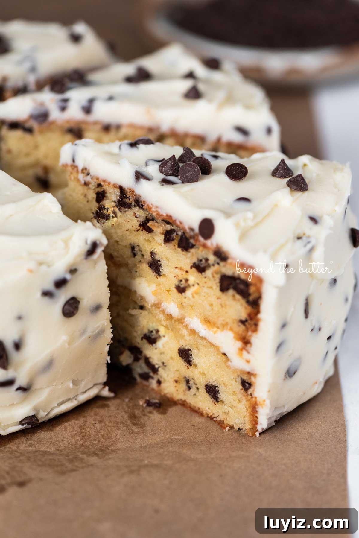 Decadent Chocolate Chip Cake Recipe for Moist, Gooey Slices 5 Slices 2 layer chocolate chip cake on a brown paper background | © Beyond the Butter®