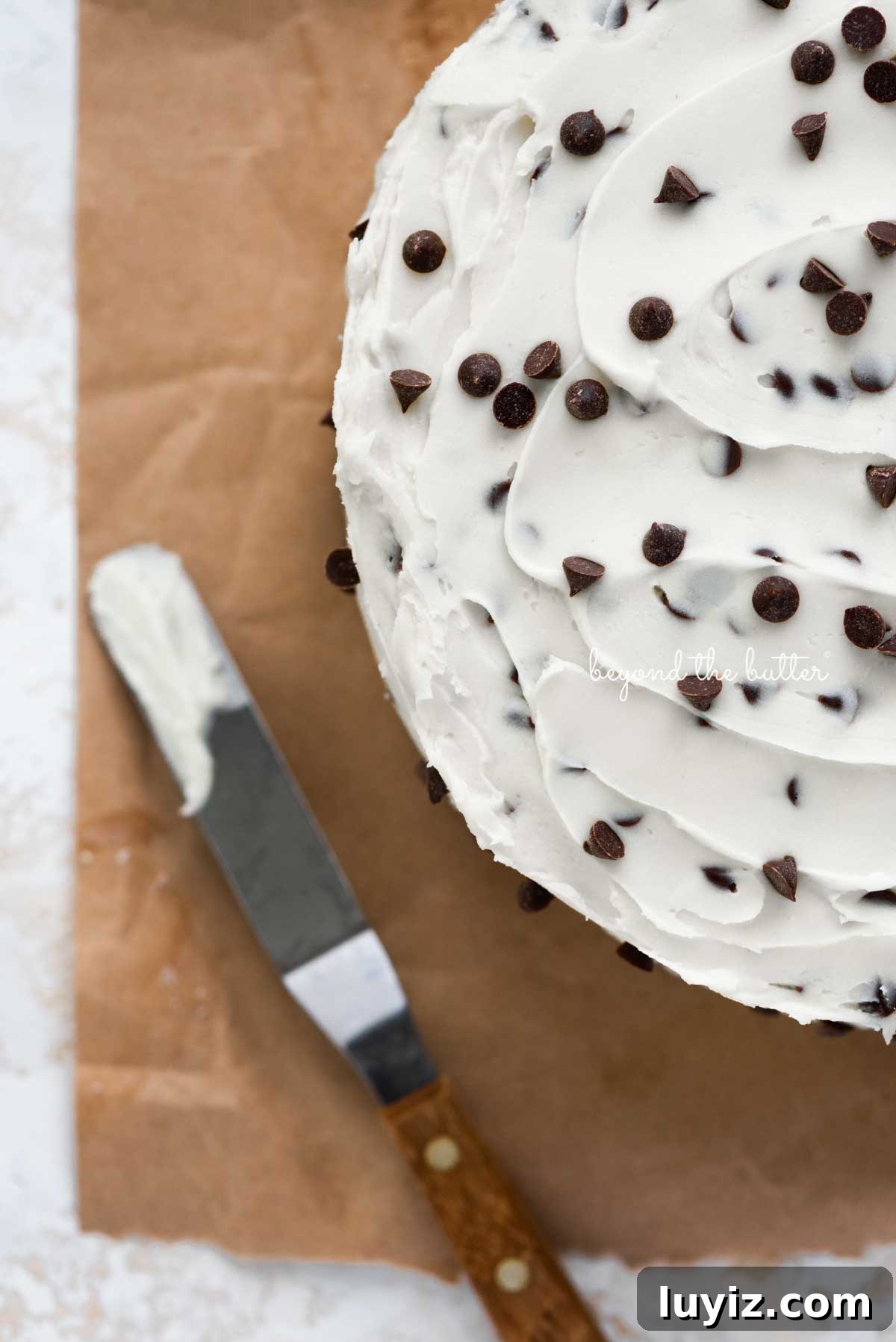 Decadent Chocolate Chip Cake Recipe for Moist, Gooey Slices 6 Chocolate chip cake with an offset spatula on a brown paper background | © Beyond the Butter®