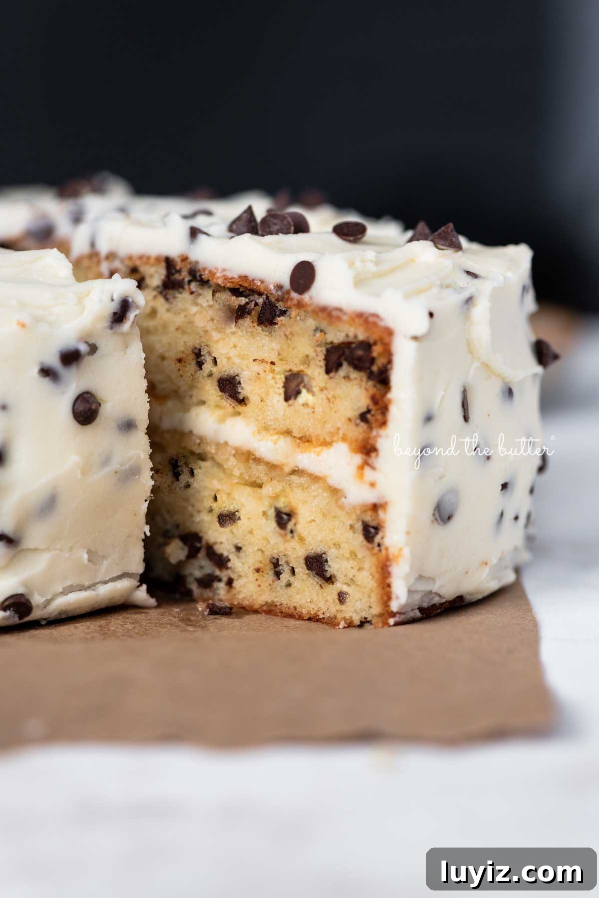 Decadent Chocolate Chip Cake Recipe for Moist, Gooey Slices 7 Slices 2 layer chocolate chip cake on a brown paper background | © Beyond the Butter®