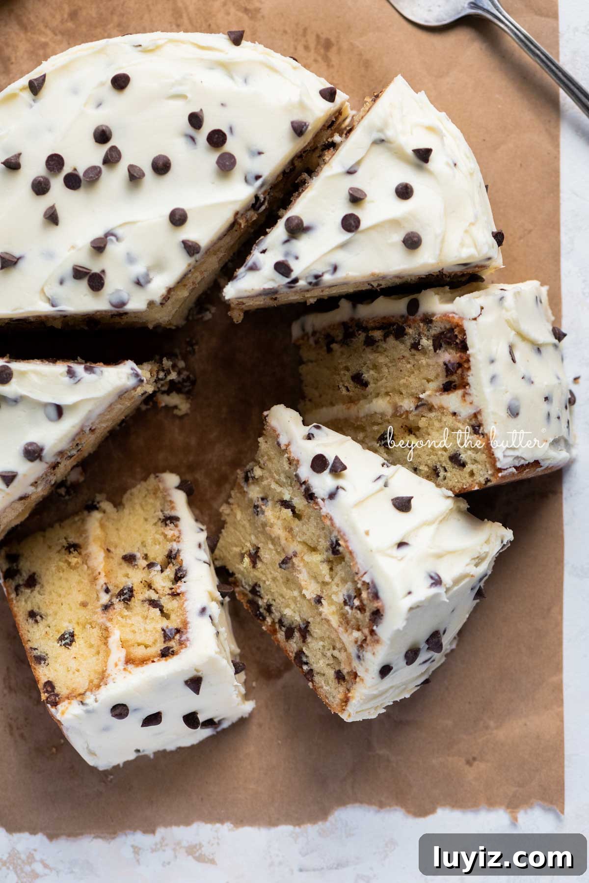 Decadent Chocolate Chip Cake Recipe for Moist, Gooey Slices 8 Slices of 2 layer chocolate chip cake on it's side on a brown paper background | © Beyond the Butter®