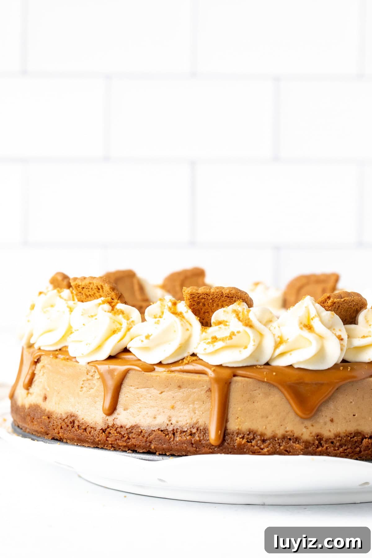 Decadent Biscoff Cheesecake Recipe with Crunchy Cookie Crust 2 9-inch round Biscoff cheesecake topped with whipped cream