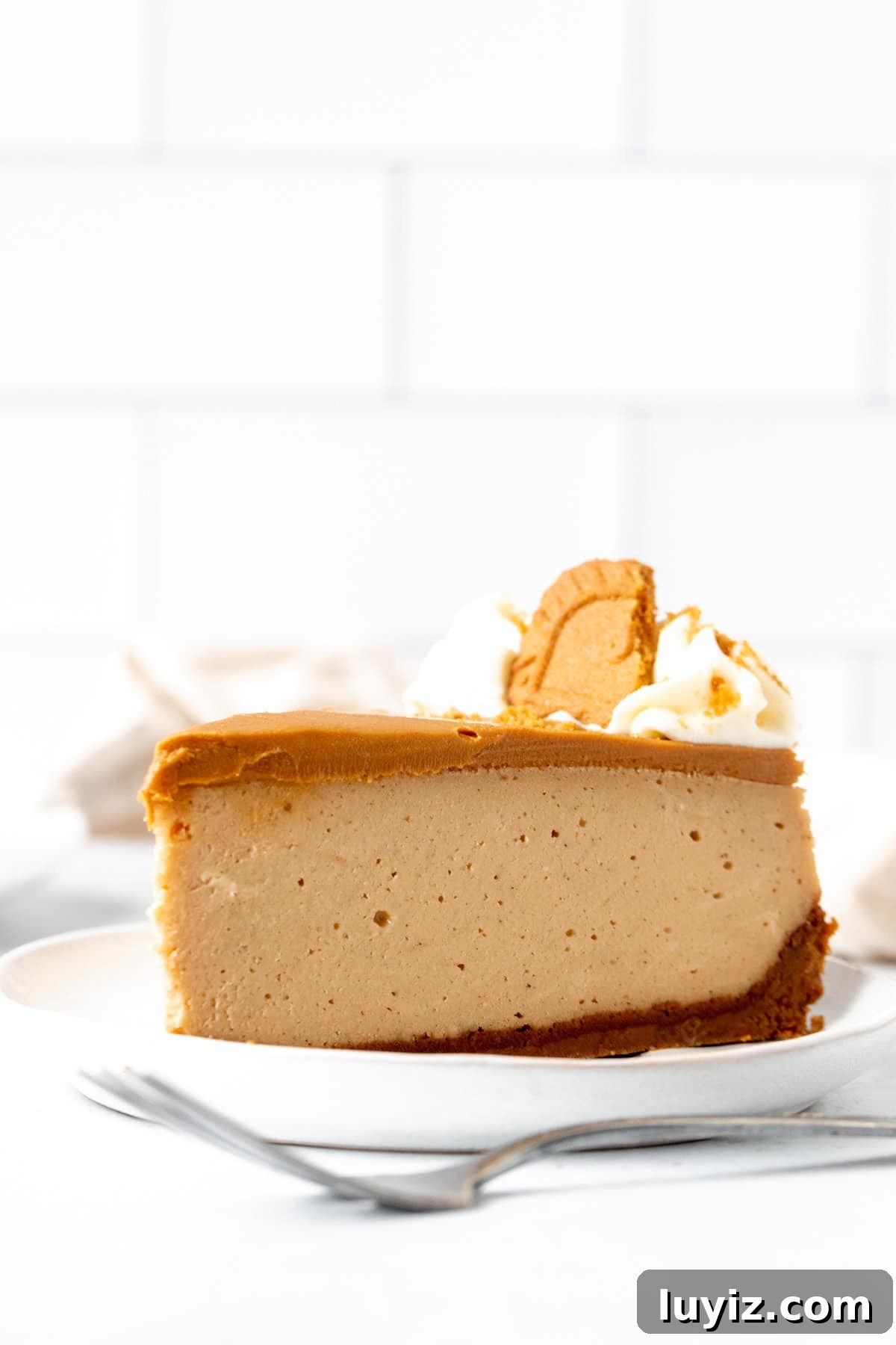 Decadent Biscoff Cheesecake Recipe with Crunchy Cookie Crust 10 Slice of Biscoff cheesecake with Lotus cookie crust and cookie butter on top