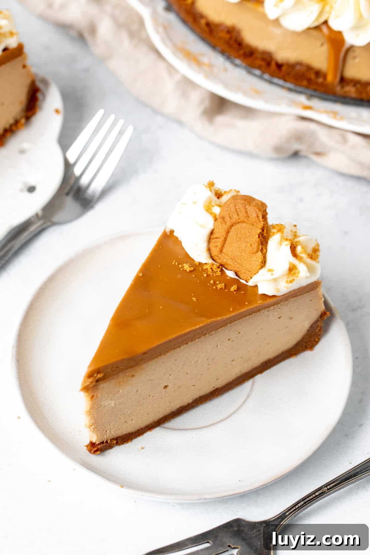 Decadent Biscoff Cheesecake Recipe with Crunchy Cookie Crust 9 Slice of Biscoff cheesecake topped with more cookie butter spread