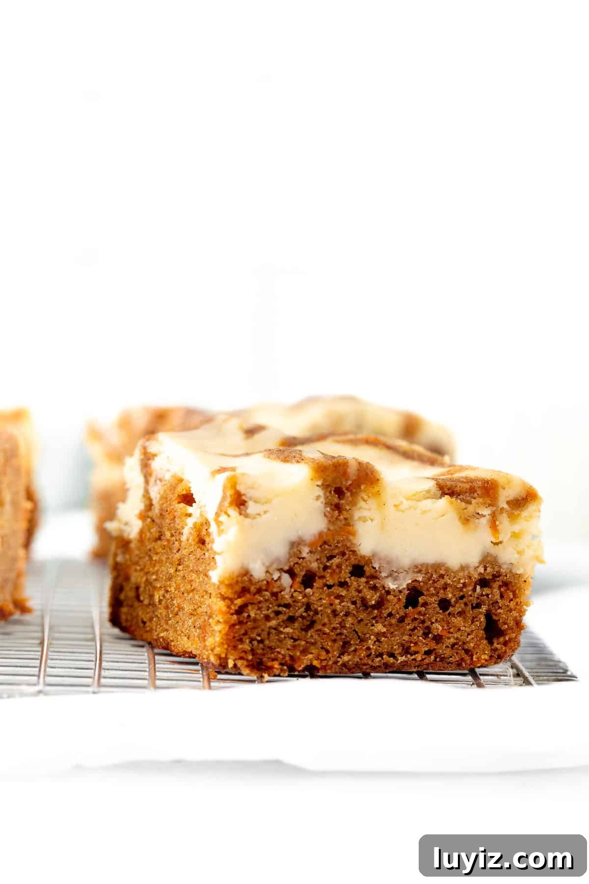 Carrot Cake Cheesecake Bars Recipe — Moist Spiced Dessert Bars 9 Swirled carrot cake cheesecake bars on a wire rack