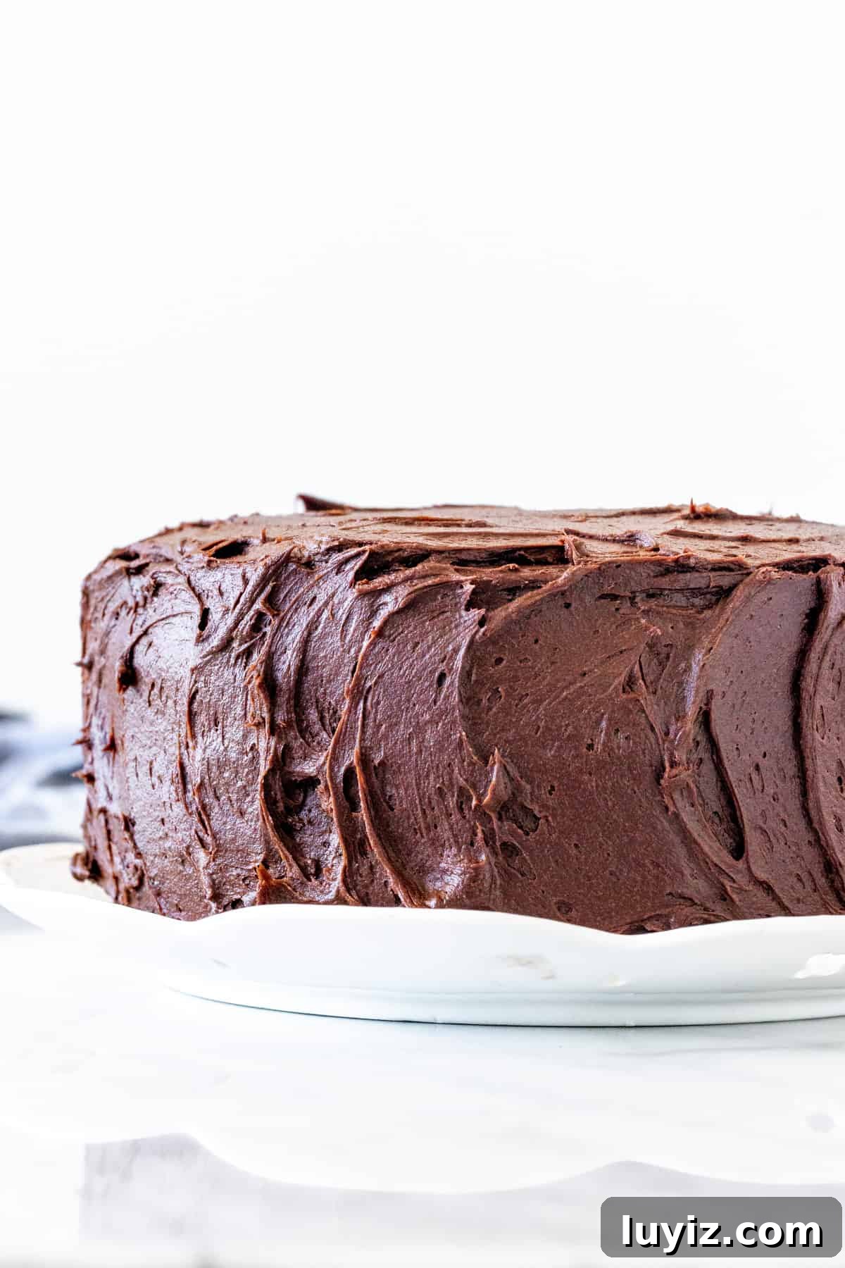 Decadent Chocolate Layer Cake Recipe with Moist Cocoa Frosting 2 Chocolate layer cake with chocolate frosting.