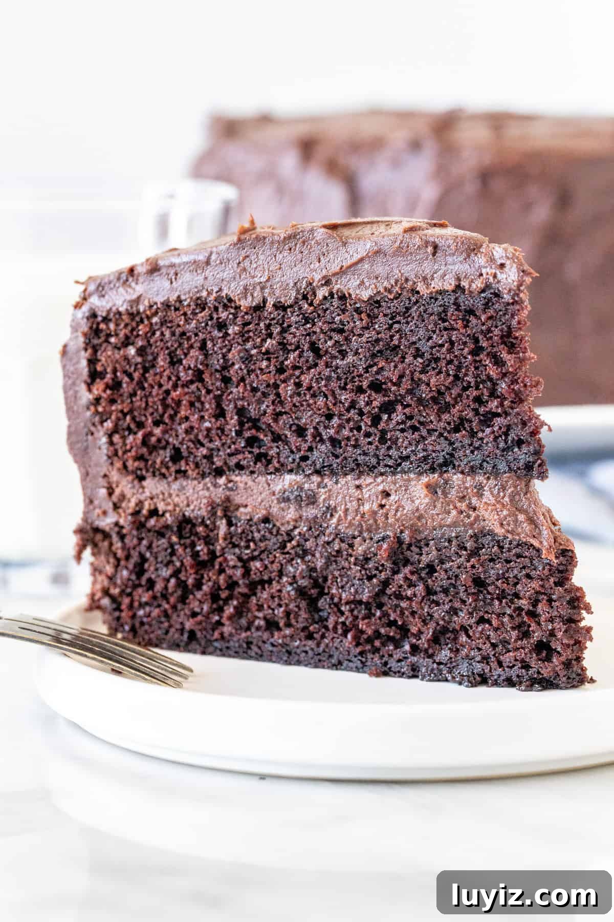 Decadent Chocolate Layer Cake Recipe with Moist Cocoa Frosting 3 Slice of chocolate cake with chocolate frosting.