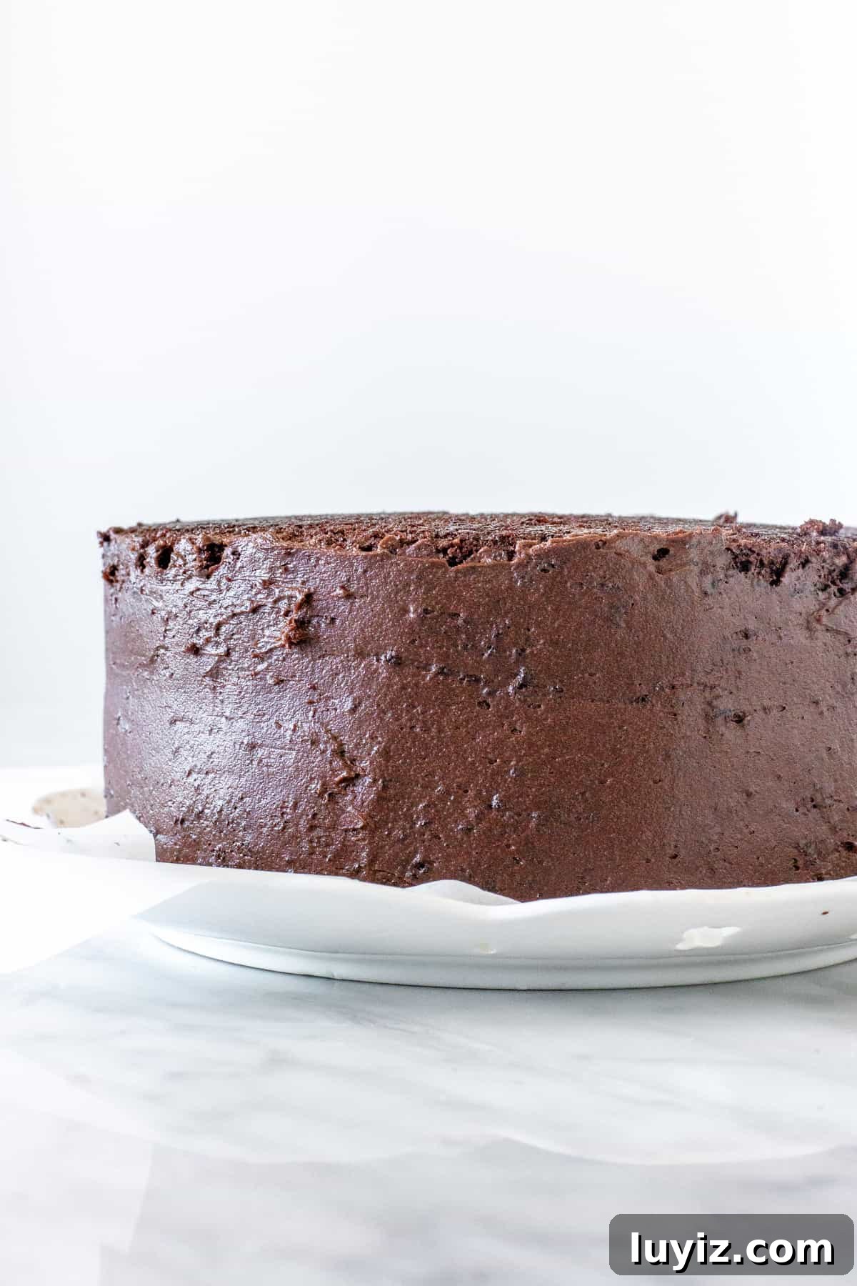 Decadent Chocolate Layer Cake Recipe with Moist Cocoa Frosting 5 Chocolate cake with crumb coat around the sides.
