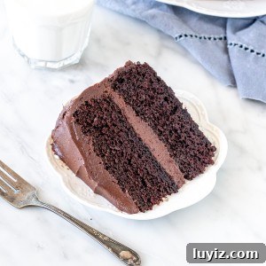 Decadent Chocolate Layer Cake Recipe with Moist Cocoa Frosting 7 Slice of chocolate cake with chocolate buttercream.
